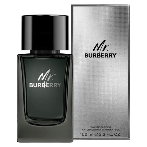 mr burberry fragrantica|burberry brit for men fragrantica.